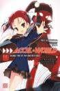 Accel World, Vol. 13 (Light Novel) - Preview