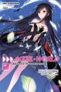 Accel World, Vol. 26 (Light Novel) - Preview