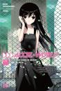 Accel World, Vol. 8 (Novel) - Preview