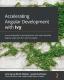 Accelerating Angular Development With Ivy