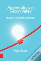 Accelerators In Silicon Valley