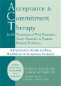 Acceptance & Commitment Therapy For The Treatment Of Post-Traumatic Stress Disorder And Trauma-Related Problems - Preview