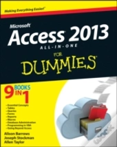 Access 2013 All In One