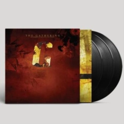 Capa do artigo Accessories - Vinil