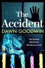 Accident - Preview