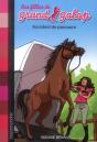 Accident De Parcours - N1 - Preview