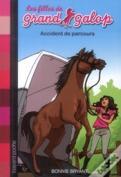 Capa do artigo Accident De Parcours - N1