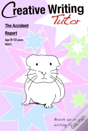 Capa do artigo Accident Report