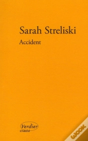 Capa do artigo Accident