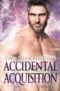 Accidental Acquisition - Preview