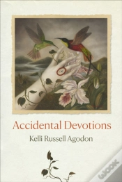 Capa do artigo Accidental Devotions