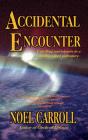 Accidental Encounter - Preview