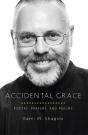 Accidental Grace - Preview