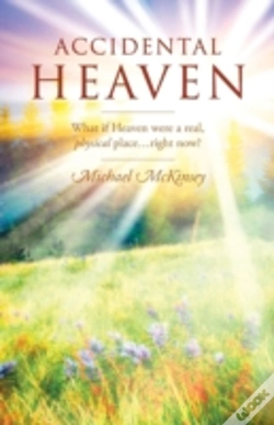 Capa do artigo Accidental Heaven