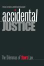 Accidental Justice - Preview