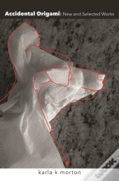 Accidental Origami