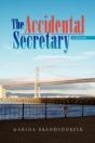 Accidental Secretary - Preview
