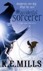 Accidental Sorcerer - Preview