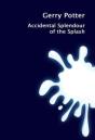 Accidental Splendour Of The Splash - Preview
