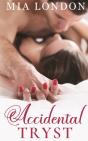 Accidental Tryst - Preview