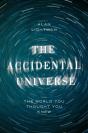 Accidental Universe - Preview