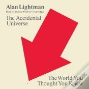 Capa do artigo Accidental Universe