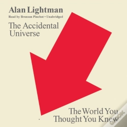 Capa do artigo Accidental Universe