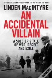 Capa do artigo Accidental Villain
