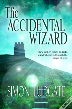 Capa do artigo Accidental Wizard