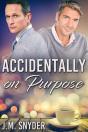 Accidentally On Purpose - Preview