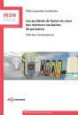 Accidents De Fusion Du Coeur Des Reacteurs Nucleaires De - Preview
