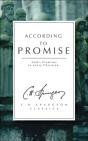 According To Promise - Preview