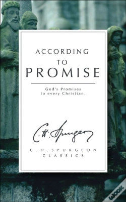 Capa do artigo According To Promise