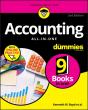 Accounting All-In-One For Dummies With Online Practice - Preview