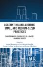 Accounting And Auditing Small And Medium-Sized Practices - Preview