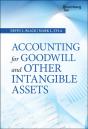 Accounting For Goodwill And Other Intangible Assets - Preview
