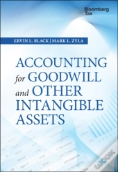 Accounting For Goodwill And Other Intangible Assets