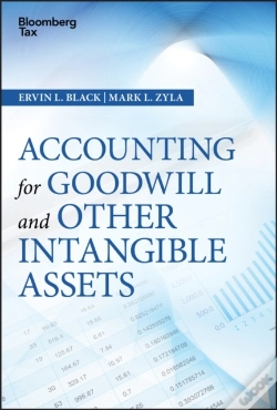 Capa do artigo Accounting For Goodwill And Other Intangible Assets