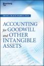 Accounting For Goodwill And Other Intangible Assets - Preview