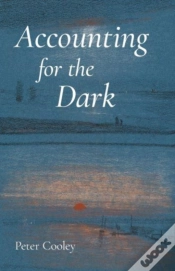 Capa do artigo Accounting For The Dark