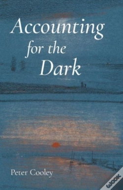 Capa do artigo Accounting For The Dark