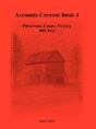 Accounts Current Book 4, Pittsylvania Co - Preview