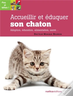 Capa do artigo Accueillir Et Éduquer Son Chaton