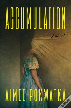 Capa do artigo Accumulation