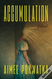 Capa do artigo Accumulation