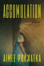 Accumulation - Preview