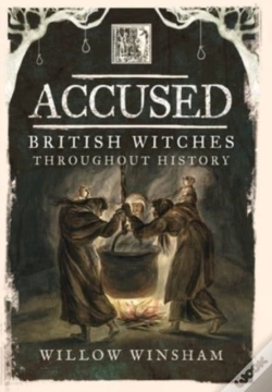Capa do artigo Accused