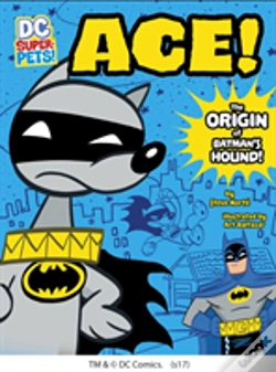 Capa do artigo Ace
