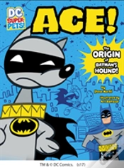 Capa do artigo Ace