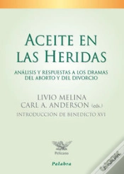 Capa do artigo Aceite En Las Heridas